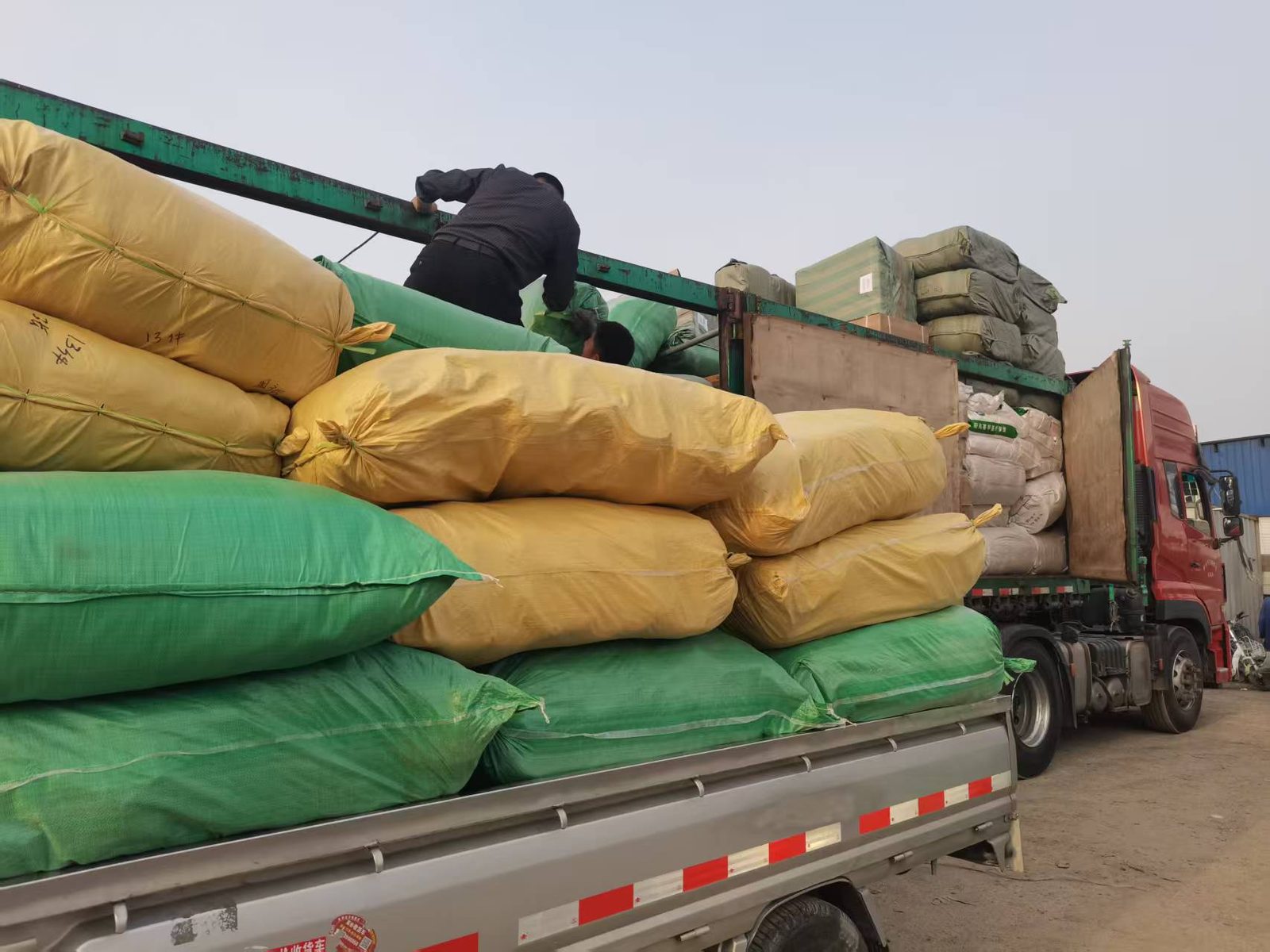 Loading a container in Linyi